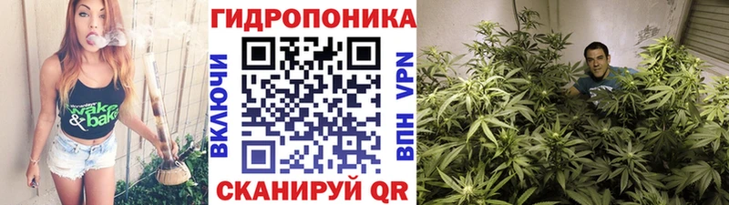 Купить закладки  Карпинск  Конопля гибрид 